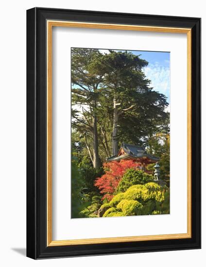 Japanese Tea Garden, Golden Gate Park, San Francisco, California, USA-Stuart Westmorland-Framed Photographic Print