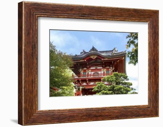 Japanese Tea Garden, Golden Gate Park, San Francisco, California-Susan Pease-Framed Photographic Print