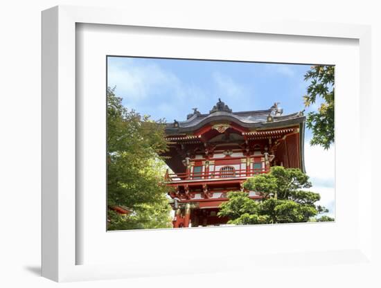 Japanese Tea Garden, Golden Gate Park, San Francisco, California-Susan Pease-Framed Photographic Print