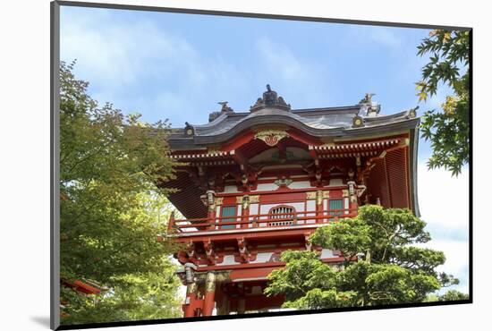 Japanese Tea Garden, Golden Gate Park, San Francisco, California-Susan Pease-Mounted Photographic Print