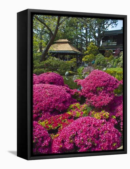 Japanese Tea Garden, Golden Gate Park, San Francisco-Anna Miller-Framed Premier Image Canvas