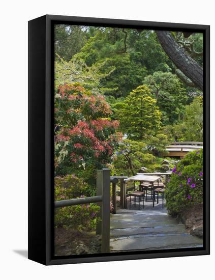 Japanese Tea Garden, Golden Gate Park, San Francisco-Anna Miller-Framed Premier Image Canvas