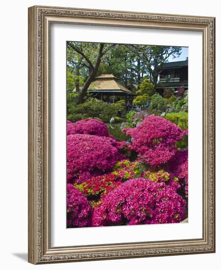 Japanese Tea Garden, Golden Gate Park, San Francisco-Anna Miller-Framed Photographic Print