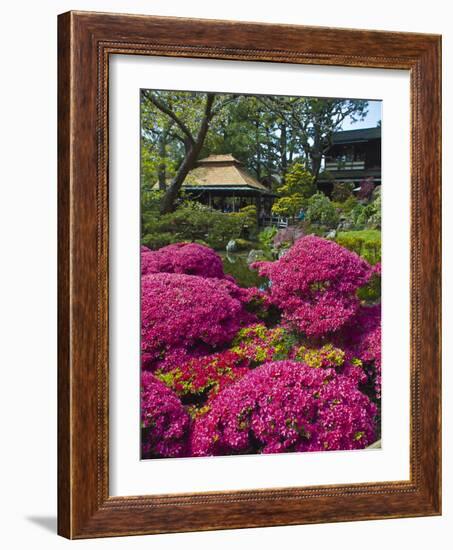 Japanese Tea Garden, Golden Gate Park, San Francisco-Anna Miller-Framed Photographic Print