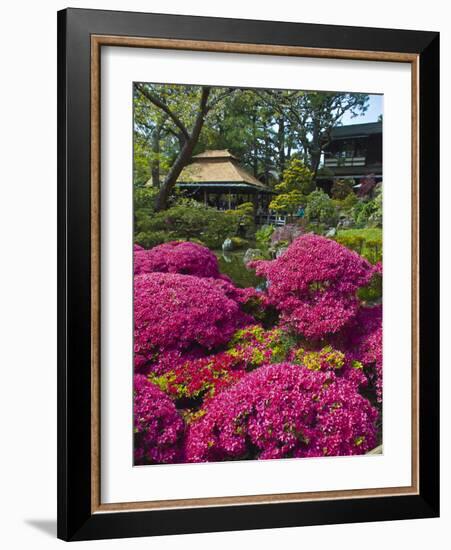 Japanese Tea Garden, Golden Gate Park, San Francisco-Anna Miller-Framed Photographic Print