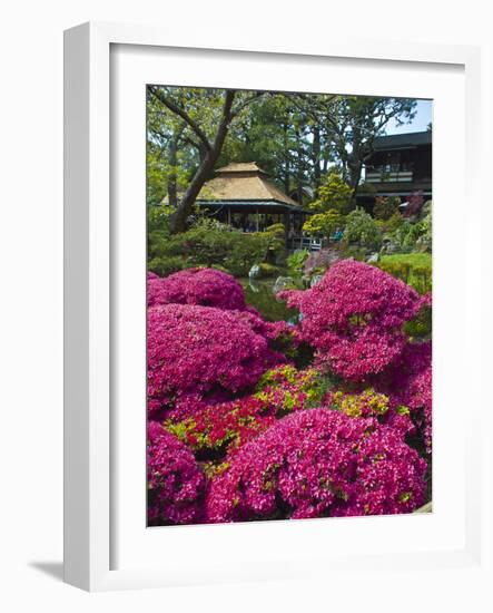 Japanese Tea Garden, Golden Gate Park, San Francisco-Anna Miller-Framed Photographic Print