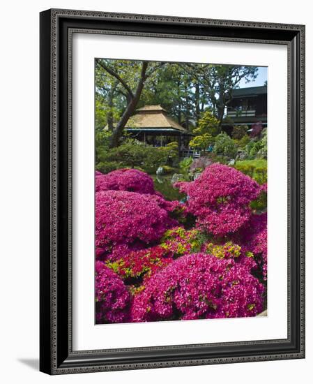 Japanese Tea Garden, Golden Gate Park, San Francisco-Anna Miller-Framed Photographic Print