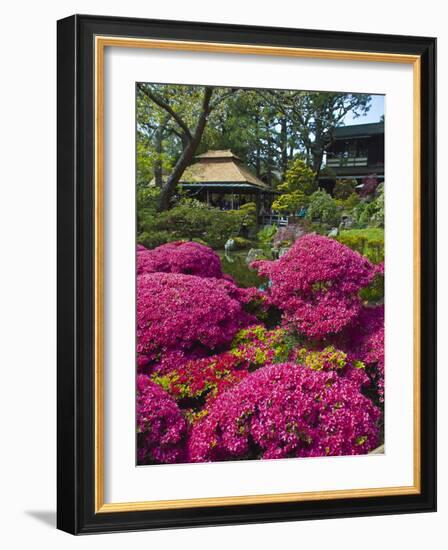 Japanese Tea Garden, Golden Gate Park, San Francisco-Anna Miller-Framed Photographic Print