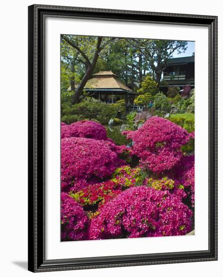 Japanese Tea Garden, Golden Gate Park, San Francisco-Anna Miller-Framed Photographic Print