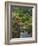 Japanese Tea Garden, Golden Gate Park, San Francisco-Anna Miller-Framed Photographic Print