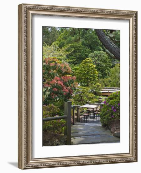 Japanese Tea Garden, Golden Gate Park, San Francisco-Anna Miller-Framed Photographic Print