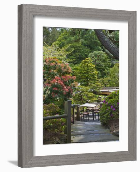 Japanese Tea Garden, Golden Gate Park, San Francisco-Anna Miller-Framed Photographic Print