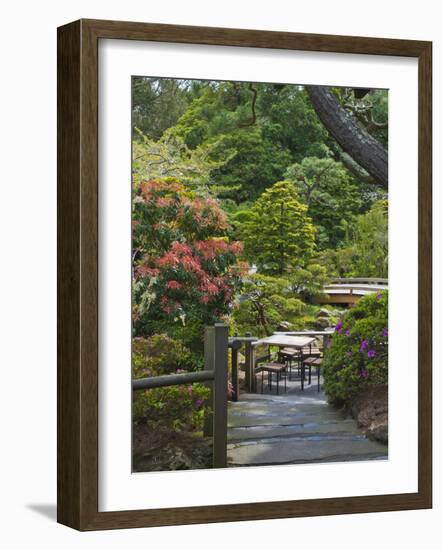 Japanese Tea Garden, Golden Gate Park, San Francisco-Anna Miller-Framed Photographic Print