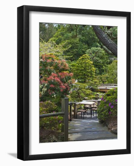 Japanese Tea Garden, Golden Gate Park, San Francisco-Anna Miller-Framed Photographic Print