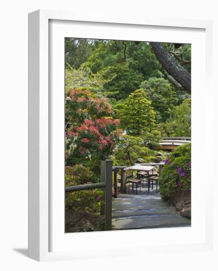 Japanese Tea Garden, Golden Gate Park, San Francisco-Anna Miller-Framed Photographic Print