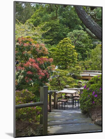 Japanese Tea Garden, Golden Gate Park, San Francisco-Anna Miller-Mounted Photographic Print