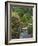 Japanese Tea Garden, Golden Gate Park, San Francisco-Anna Miller-Framed Photographic Print