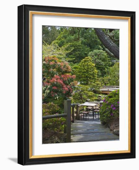 Japanese Tea Garden, Golden Gate Park, San Francisco-Anna Miller-Framed Photographic Print