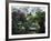 Japanese Tea Garden in the Golden Gate Park, San Francisco, California, USA-Fraser Hall-Framed Photographic Print