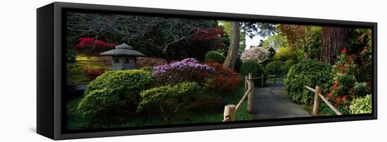 Japanese Tea Garden, San Francisco, California, USA-null-Framed Stretched Canvas