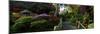 Japanese Tea Garden, San Francisco, California, USA-null-Mounted Photographic Print