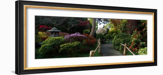 Japanese Tea Garden, San Francisco, California, USA-null-Framed Photographic Print