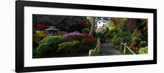 Japanese Tea Garden, San Francisco, California, USA-null-Framed Photographic Print