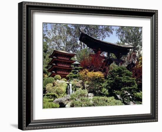 Japanese Tea Garden, San Francisco, California, USA-null-Framed Photographic Print