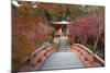 Japanese Temple Garden in Autumn, Daigoji Temple, Kyoto, Japan-Stuart Black-Mounted Photographic Print