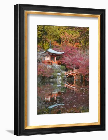 Japanese Temple Garden in Autumn, Daigoji Temple, Kyoto, Japan-Stuart Black-Framed Photographic Print