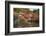 Japanese Temple Garden in Autumn, Daigoji Temple, Kyoto, Japan-Stuart Black-Framed Photographic Print