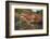 Japanese Temple Garden in Autumn, Daigoji Temple, Kyoto, Japan-Stuart Black-Framed Photographic Print