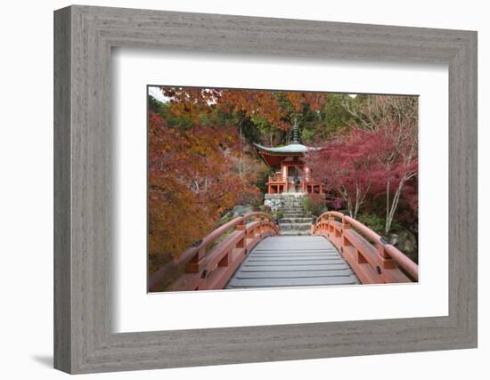 Japanese Temple Garden in Autumn, Daigoji Temple, Kyoto, Japan-Stuart Black-Framed Photographic Print