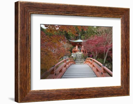 Japanese Temple Garden in Autumn, Daigoji Temple, Kyoto, Japan-Stuart Black-Framed Photographic Print