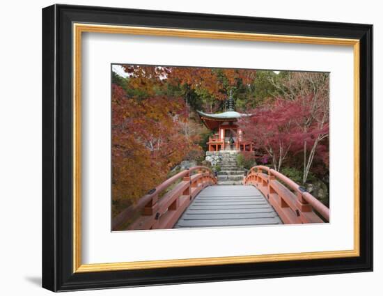 Japanese Temple Garden in Autumn, Daigoji Temple, Kyoto, Japan-Stuart Black-Framed Photographic Print