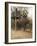 Japanese Tourists Board the Elephant That Will Take Them on Safari-Don Smith-Framed Photographic Print