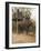 Japanese Tourists Board the Elephant That Will Take Them on Safari-Don Smith-Framed Photographic Print