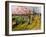 Japanese Tourists, Regents Park-Mary Kuper-Framed Giclee Print