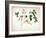 Japanese Tree Peony (Paeonia Suffructicosa), 1815-Lucy Cust-Framed Giclee Print