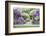 Japanese Wisteria, Kennett Square, Pennsylvania, USA-Lisa S. Engelbrecht-Framed Photographic Print