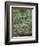 Japanische Bruecke, 1899-Claude Monet-Framed Giclee Print