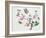 Japonica, Magnolia and Butterflies-null-Framed Giclee Print