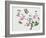 Japonica, Magnolia and Butterflies-null-Framed Giclee Print