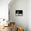 Jar & Flower-Cindy Thornton-Framed Stretched Canvas displayed on a wall