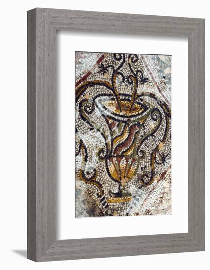 Jar Mosaic, New House Of Hunt, Bulla Regia Archaeological Site, Tunisia-Nico Tondini-Framed Photographic Print