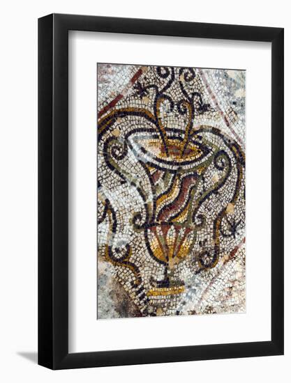 Jar Mosaic, New House Of Hunt, Bulla Regia Archaeological Site, Tunisia-Nico Tondini-Framed Photographic Print