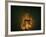 Jar of Dreams-Fabio Panichi-Framed Photographic Print