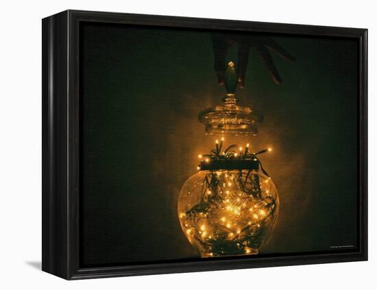 Jar of Dreams-Fabio Panichi-Framed Premier Image Canvas