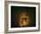 Jar of Dreams-Fabio Panichi-Framed Photographic Print