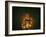 Jar of Dreams-Fabio Panichi-Framed Photographic Print